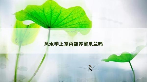 風水學上室內能養蟹爪蘭嗎 風水學上室內能養蟹爪蘭嗎