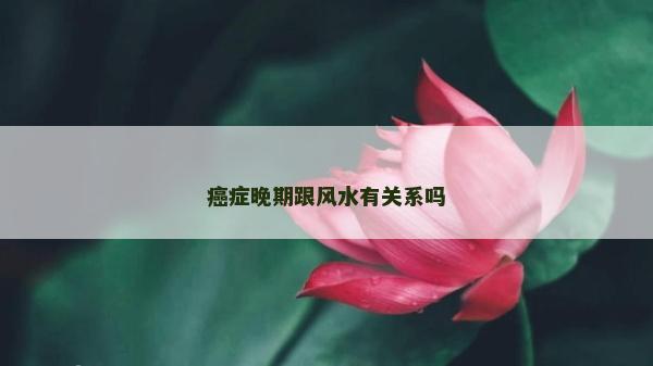 癌癥晚期跟風水有關系嗎
