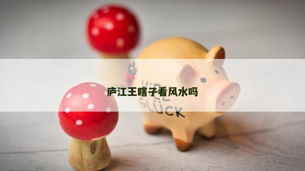 廬江王瞎子看風水嗎