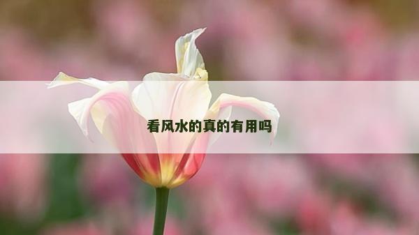 看風(fēng)水的真的有用嗎 看風(fēng)水的真的有用嗎