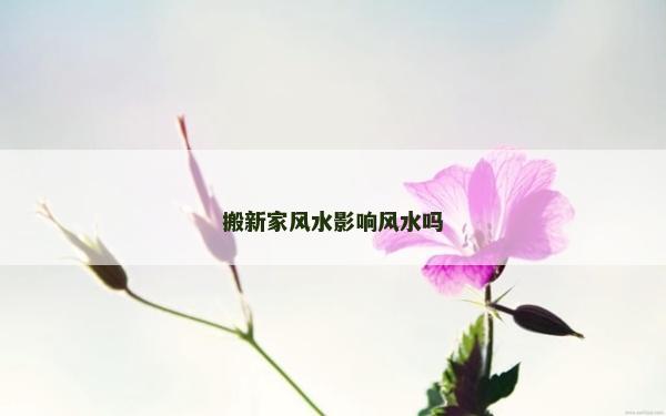 搬新家風水影響風水嗎