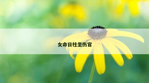 女命日柱坐傷官