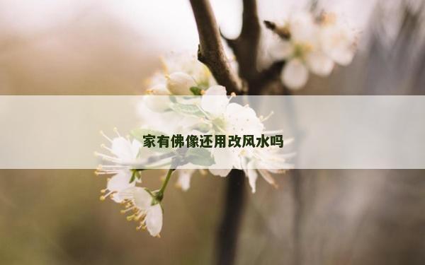 家有佛像還用改風水嗎 家有佛像還用改風水嗎