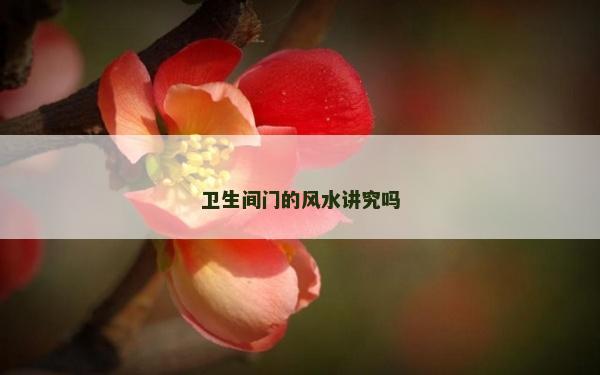 衛生間門的風水講究嗎