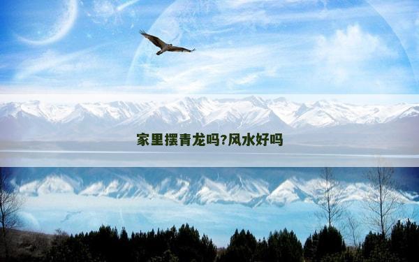 家里擺青龍嗎?風水好嗎 家里擺青龍嗎?風水好嗎