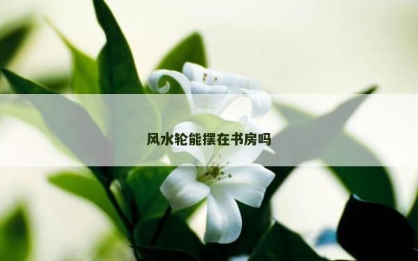 風水輪能擺在書房嗎 風水輪能擺在書房嗎