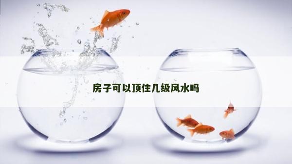 房子可以頂住幾級風水嗎 房子可以頂住幾級風水嗎