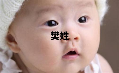 樊姓獨(dú)特優(yōu)美的男孩名字