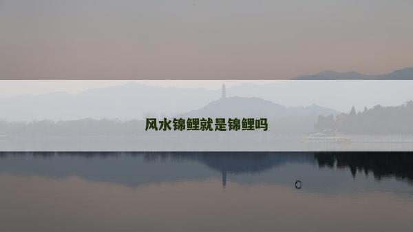 風(fēng)水錦鯉就是錦鯉嗎