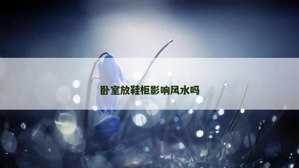 臥室放鞋柜影響風水嗎