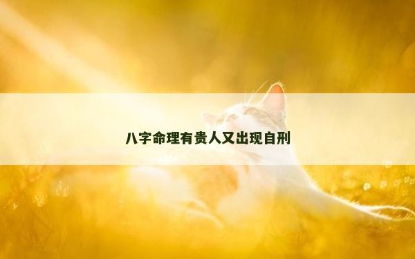 八字命理有貴人又出現(xiàn)自刑