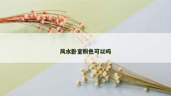 風水臥室粉色可以嗎
