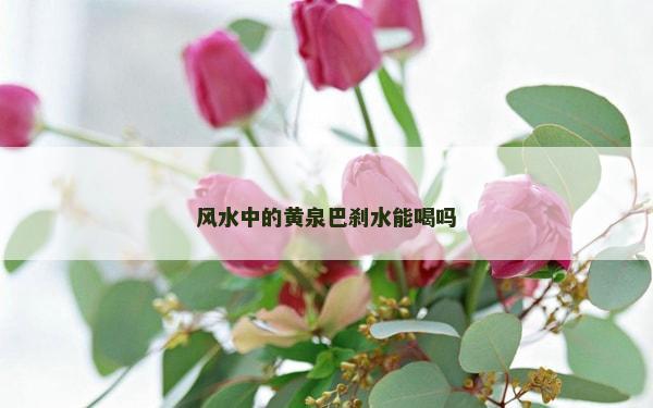 風(fēng)水中的黃泉巴剎水能喝嗎
