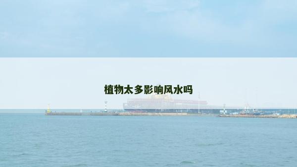植物太多影響風水嗎 植物太多影響風水嗎