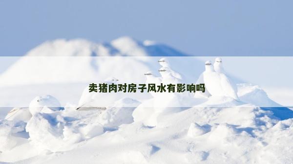 賣豬肉對房子風水有影響嗎