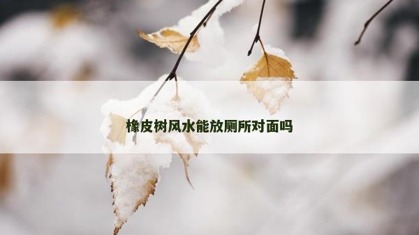 橡皮樹風水能放廁所對面嗎