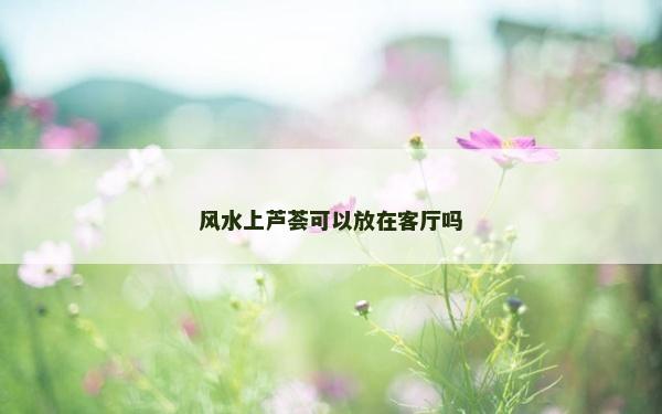 風水上蘆薈可以放在客廳嗎