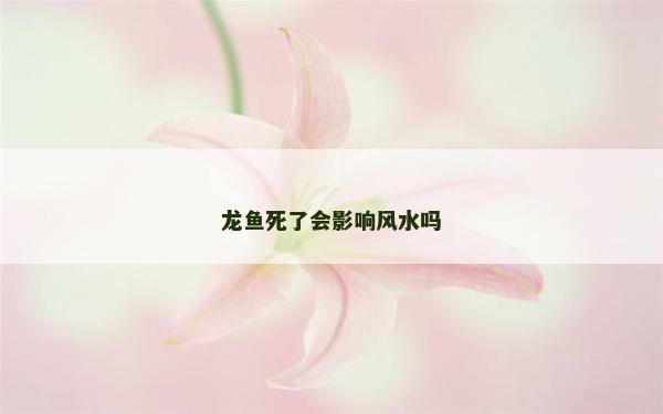 龍魚死了會影響風水嗎 龍魚死了會影響風水嗎