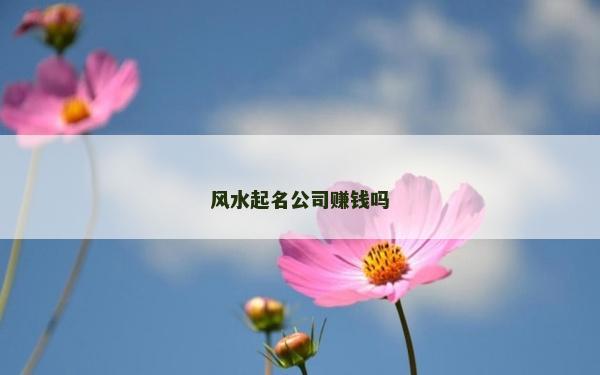 風水起名公司賺錢嗎 風水起名公司賺錢嗎