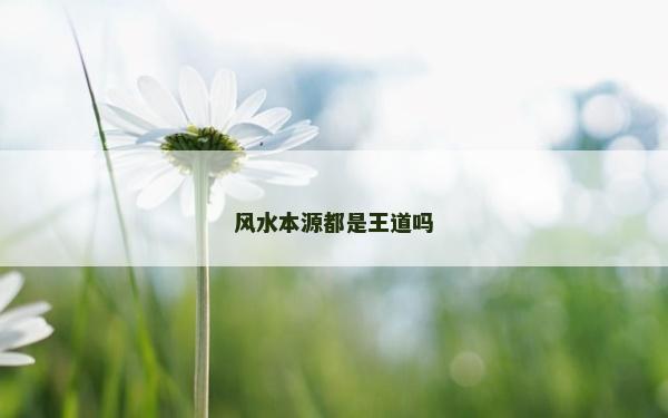 風水本源都是王道嗎