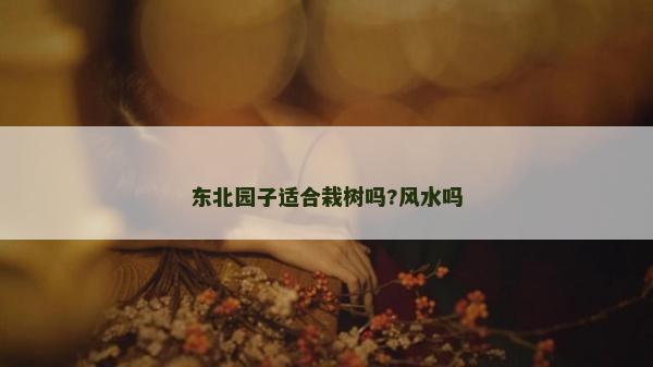東北園子適合栽樹嗎?風水嗎