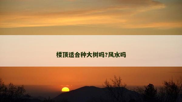 樓頂適合種大樹嗎?風水嗎