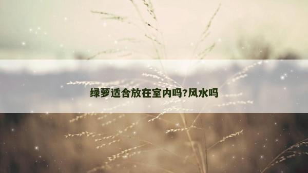 綠蘿適合放在室內嗎?風水嗎