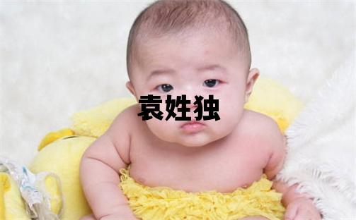 袁姓獨特優美的男孩名字