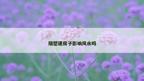 隔壁建房子影響風(fēng)水嗎