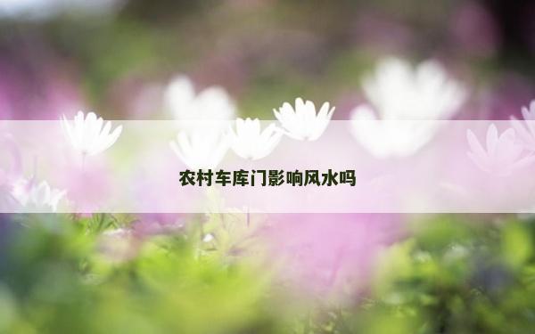農村車庫門影響風水嗎