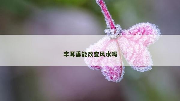 豐耳垂能改變風水嗎