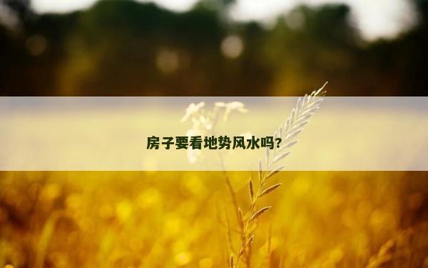 房子要看地勢風水嗎?