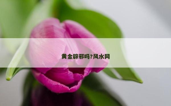 黃金辟邪嗎?風水網