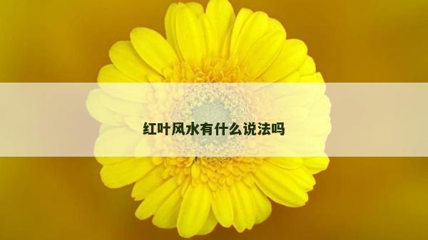 紅葉風(fēng)水有什么說法嗎