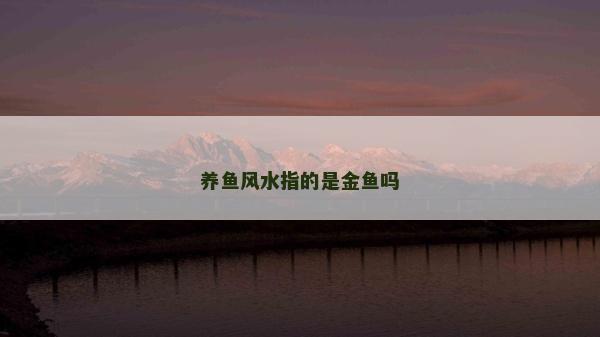 養(yǎng)魚風(fēng)水指的是金魚嗎