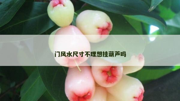門風(fēng)水尺寸不理想掛葫蘆嗎