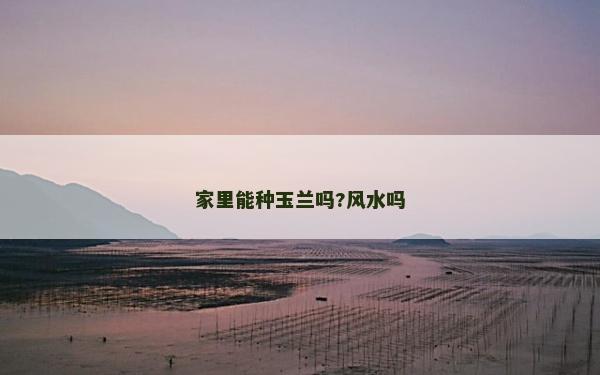 家里能種玉蘭嗎?風水嗎 家里能種玉蘭嗎?風水嗎