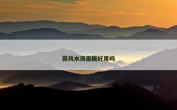 薇風水滴面膜好用嗎