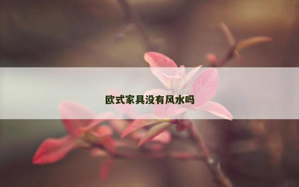 歐式家具沒有風水嗎 歐式家具沒有風水嗎