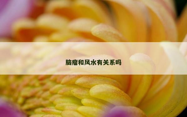 腦瘤和風水有關系嗎