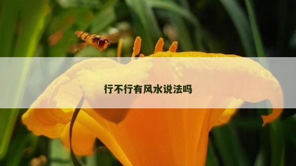 行不行有風水說法嗎