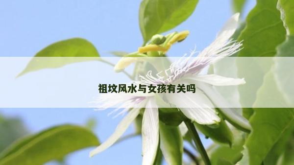 祖墳風水與女孩有關嗎 祖墳風水與女孩有關嗎