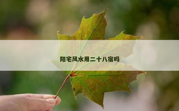陽宅風水用二十八宿嗎