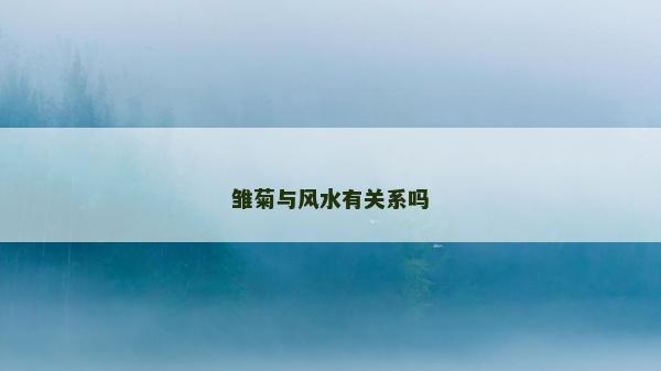 雛菊與風水有關系嗎