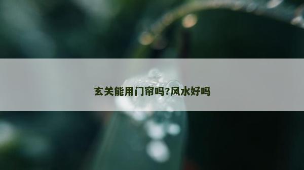 玄關(guān)能用門簾嗎?風(fēng)水好嗎