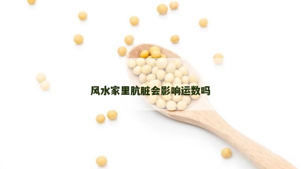 風水家里骯臟會影響運數(shù)嗎 風水家里骯臟會影響運數(shù)嗎
