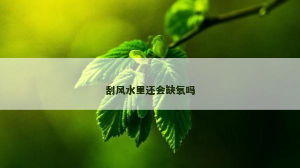 刮風(fēng)水里還會缺氧嗎