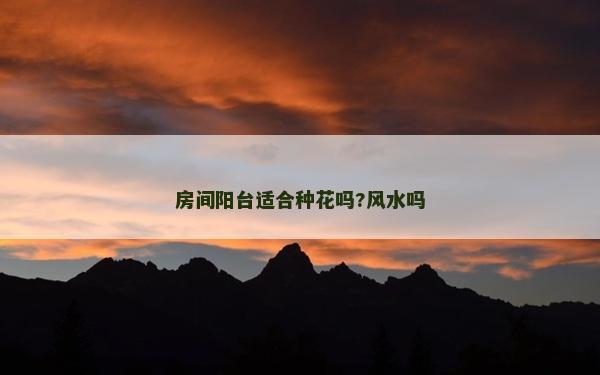 房間陽臺(tái)適合種花嗎?風(fēng)水嗎
