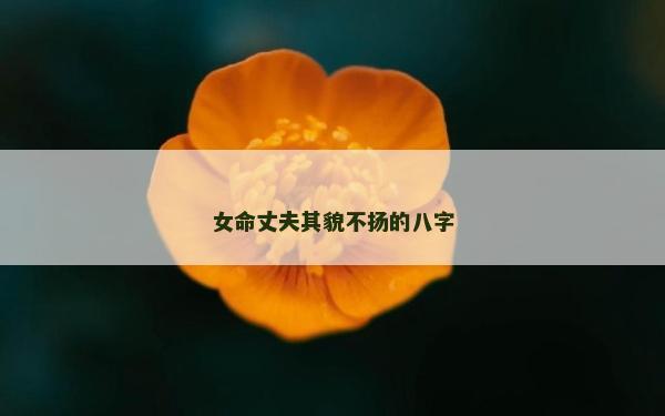 女命丈夫其貌不揚(yáng)的八字
