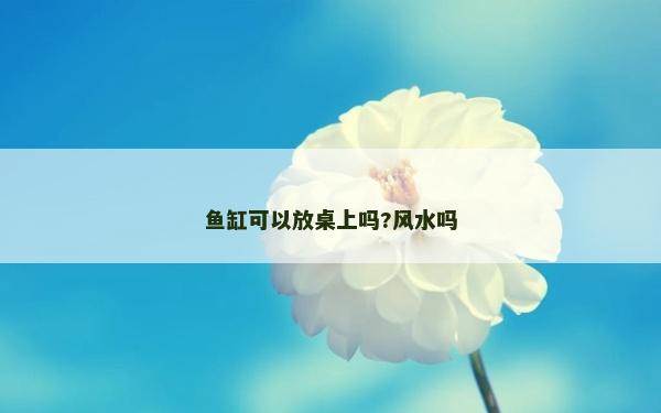 魚缸可以放桌上嗎?風水嗎